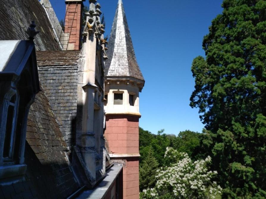 Chateau De La Vernede, La Grande Vernede Saint-Remy-de-Chargnat Экстерьер фото